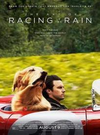 Film: The Art of Racing in the Rain