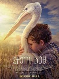 Film: Chlapec a pelikán