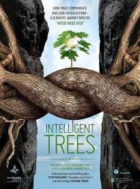 Film: Inteligentní stromy