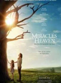 Film: Zázraky z neba