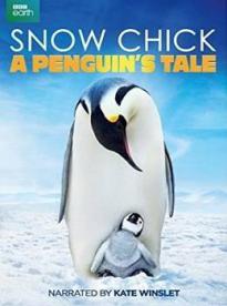 Film: Snežné vtáča - príbeh malého tučniaka
