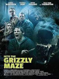 Film: Grizzly zabiják