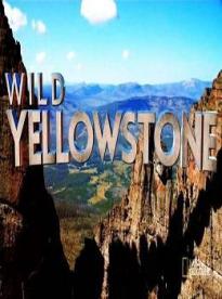 Film: Divoký Yellowstone: Vlčice
