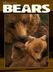 Film: Medvede