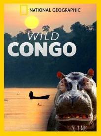 Film: Divoké Kongo 2. časť