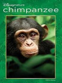Film: Šimpanz