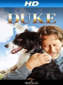 Film: Pes jménem Duke