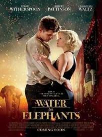 Film: Voda pre slony
