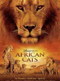 Film: Africké šelmy: Kráľovstvo odvahy
