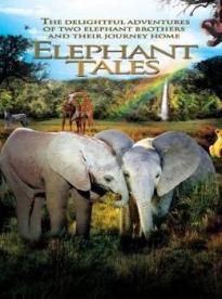 Film: Sloní putování