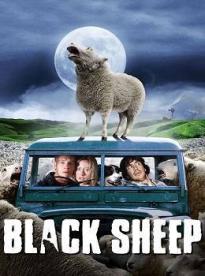 Film: Černé ovce