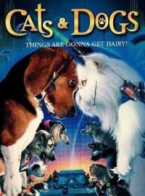 Film: Mačky a psi
