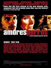 Film: Amores perros - Láska je kurva