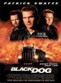 Film: Čierny pes