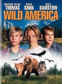 Film: Americká divočina