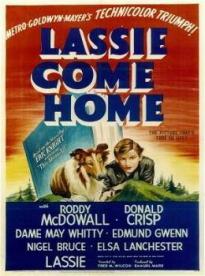 Film: Lassie se vrací